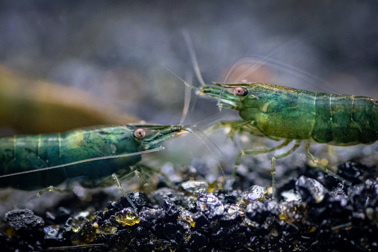 Green Emeralds