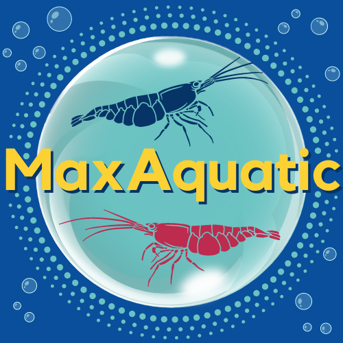 MaxAquatic